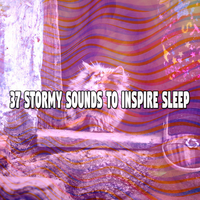 37 Stormy Sounds To Inspire Sleep Album by Rain for Deep Sleep Spotify