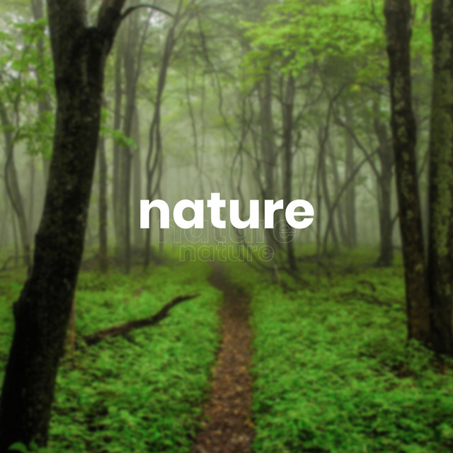 Nature song and lyrics by Vitinhow Beats Spotify