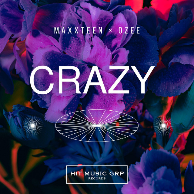 Crazy song and lyrics by Maxxteen, Ozee Spotify