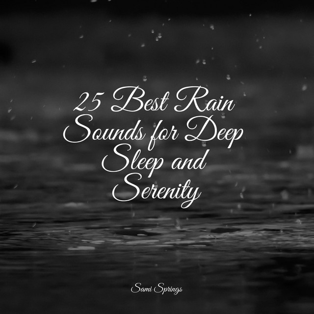 25 Best Rain Sounds for Deep Sleep and Serenity Album by Smart Baby