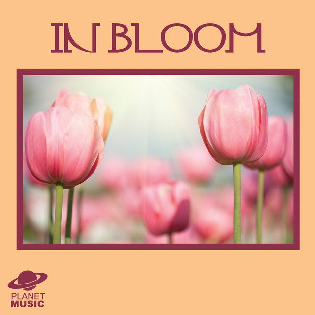 You Don't Bring Me Flowers song and lyrics by Save Pluto Spotify