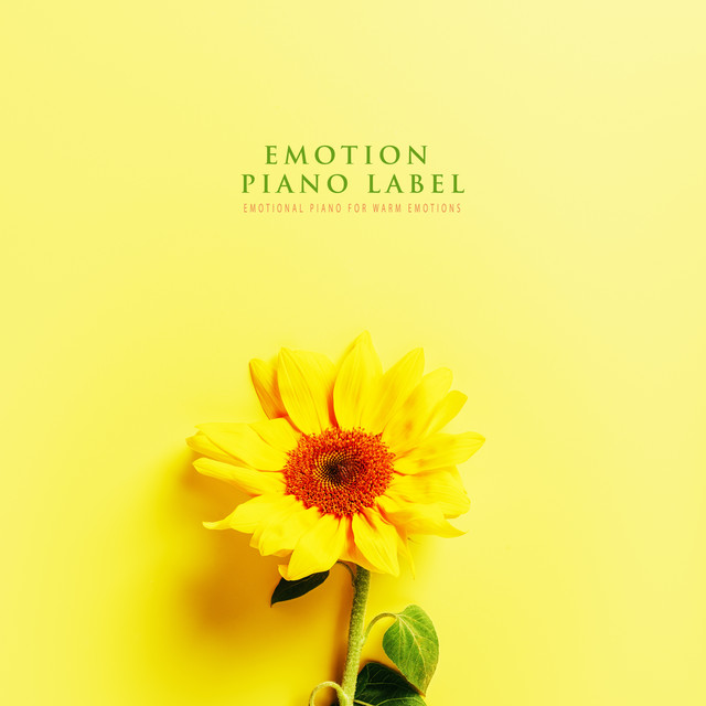 A Dim Recollection música e letra de Feeling Drawings Spotify