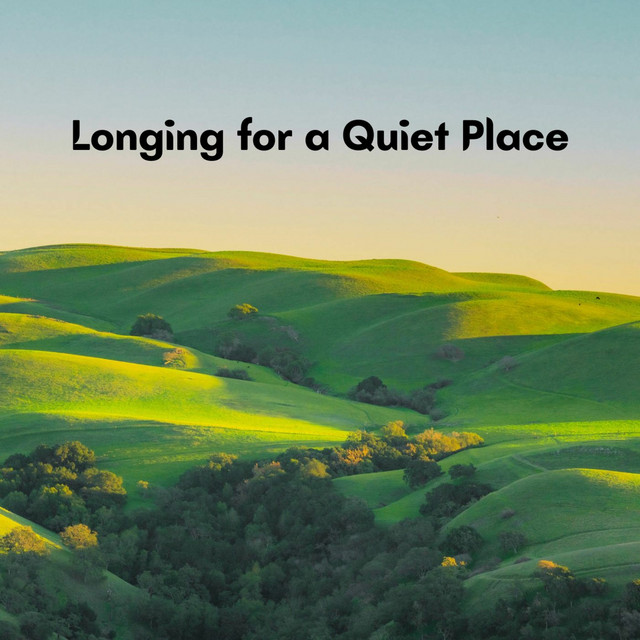 Nylonwings res profile SubmitHub