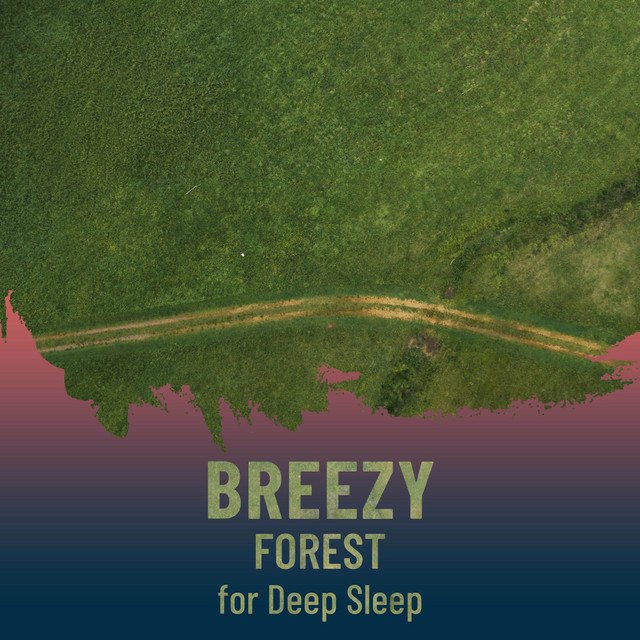 zZz Breezy Forest for Deep Sleep zZz Album by Relaxing Nature Sounds