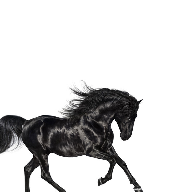 Meaning of Old Town Road (feat. Billy Ray Cyrus) Remix by Lil Nas X