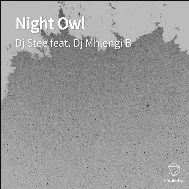 Night Owl Single by Dj Stee Spotify