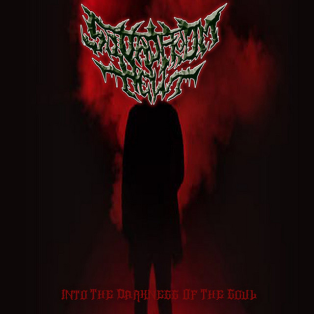 Regulation Of Death song and lyrics by SQUAD FROM HELL Spotify