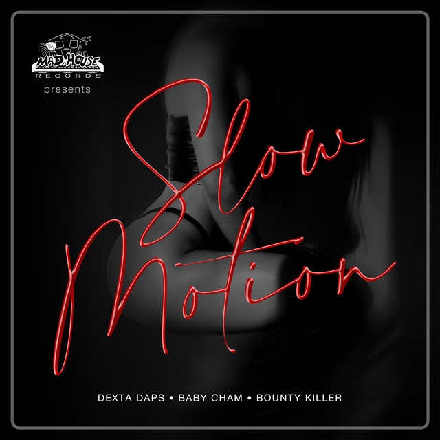 Slow Motion Single by Bounty Killer Spotify