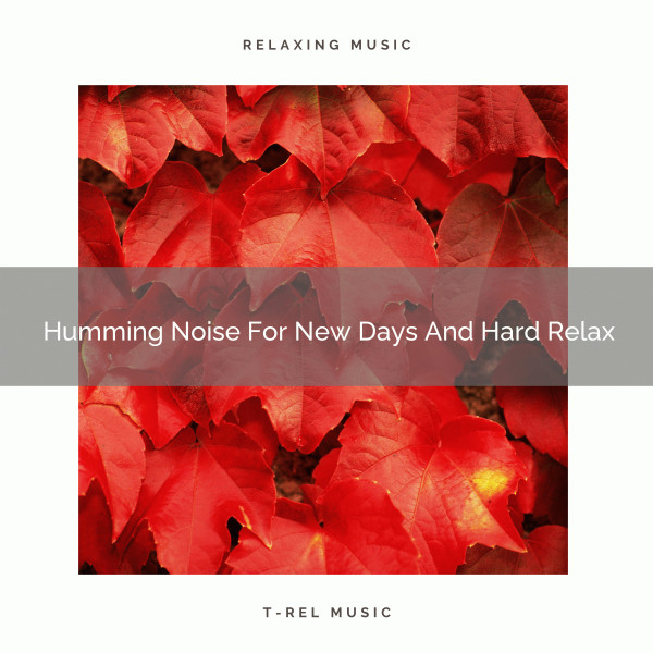 Humming Noise For New Days And Hard Relax Album by Baby White Noise