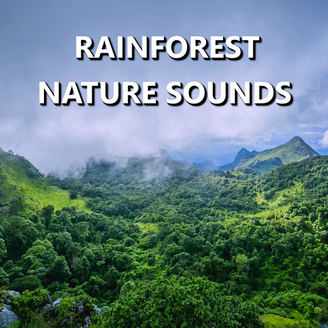 Rainforest Nature Sounds Spotify