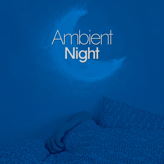 Ambient Night Album by Baby Sleep Through the Night Spotify