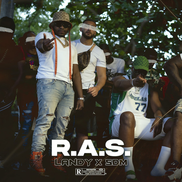 Landy, SDM R.A.S. Lyrics Meaning Lyreka