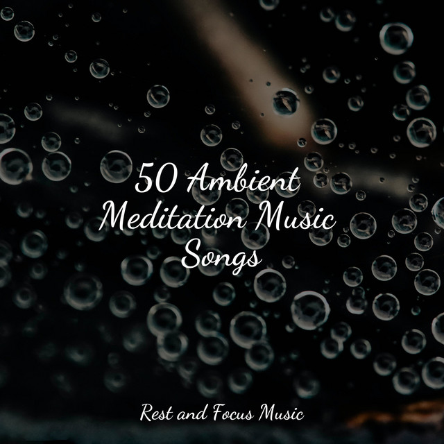 50 Ambient Meditation Music Songs Album by Guided Meditation Music