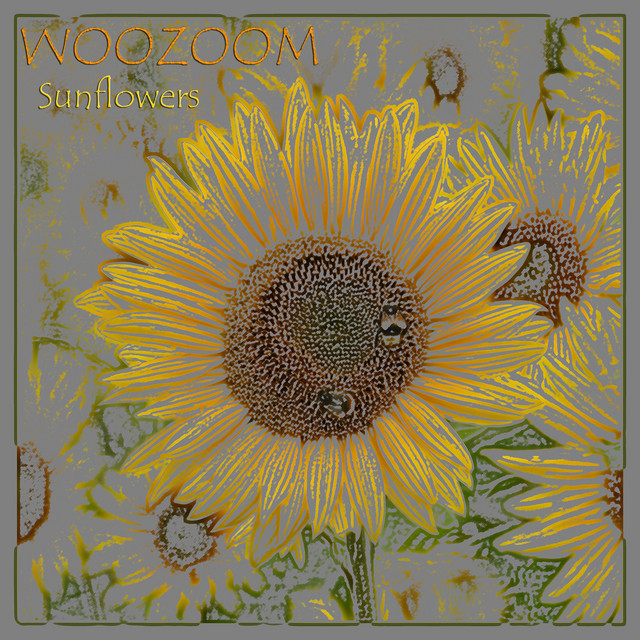 Sunflowers song and lyrics by WOOZOOM, Josefine Spotify