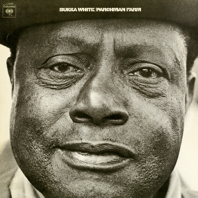 Bukka White Spotify