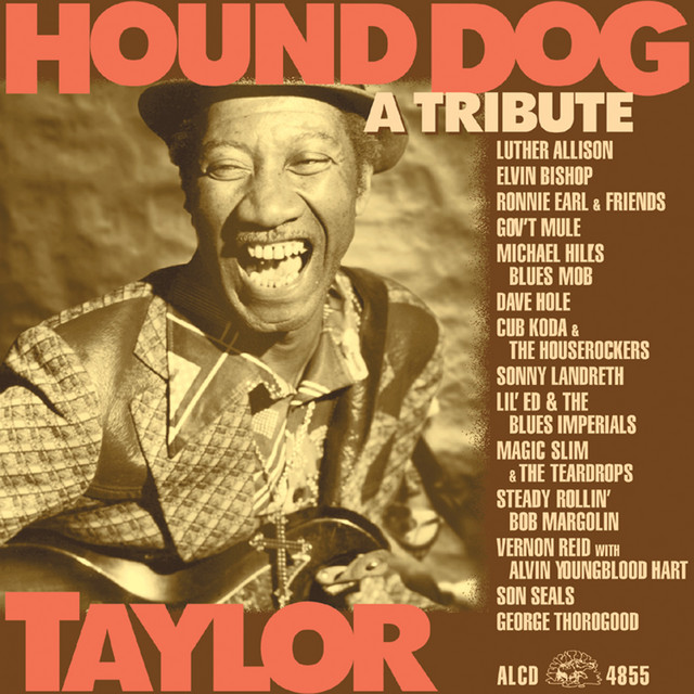 Hound Dog Taylor A Tribute Compilation by Various Artists Spotify
