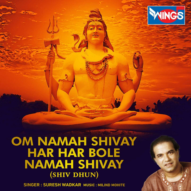 Om Namah Shivay Har Har Bole Namah Shivay (Shiv Dhun) by Suresh Wadkar