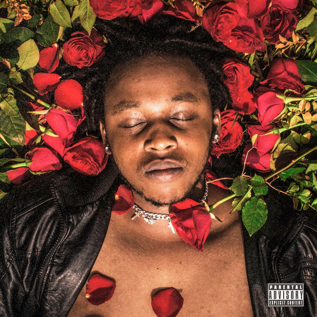 Bed Of Roses Album by Sabi Wu Spotify