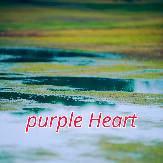 BPM and key for Purple Heart by Arian Roshi Tempo for Purple Heart