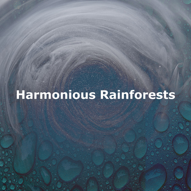 Do Cleared song and lyrics by Rainforest Silence Spotify