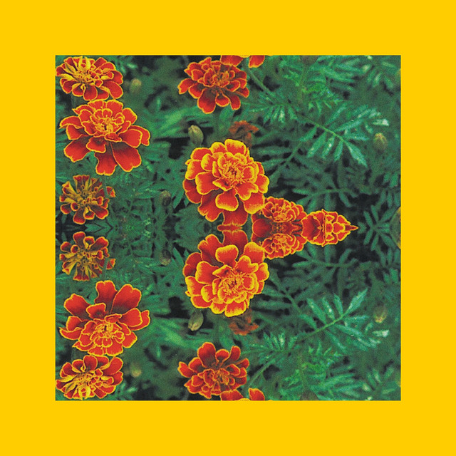 Marigolds Album by Butter Spotify