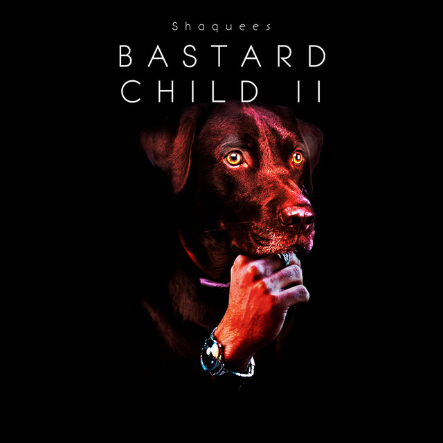 Bastard Child 2 Album by Shaquees Spotify
