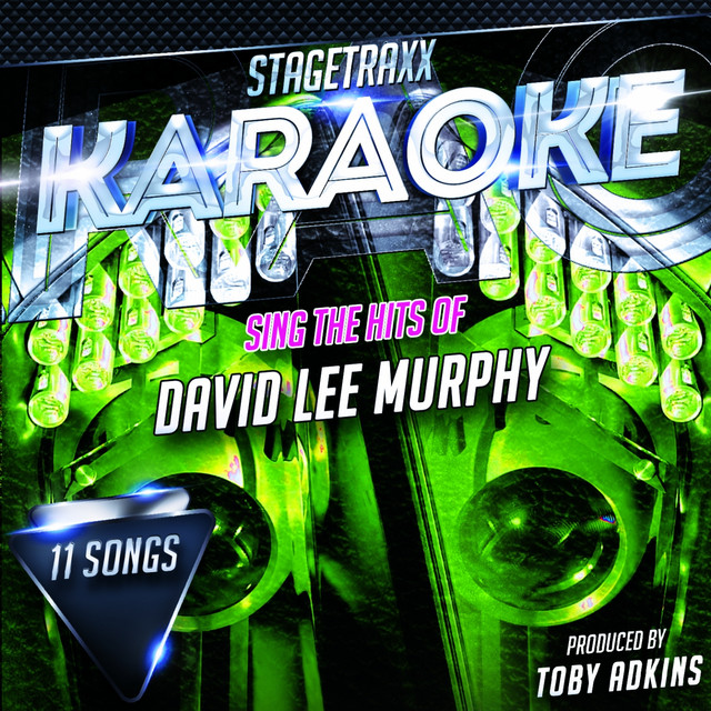 Dust On the Bottle (Karaoke Version) Originally Performed By David Lee Murphy song and