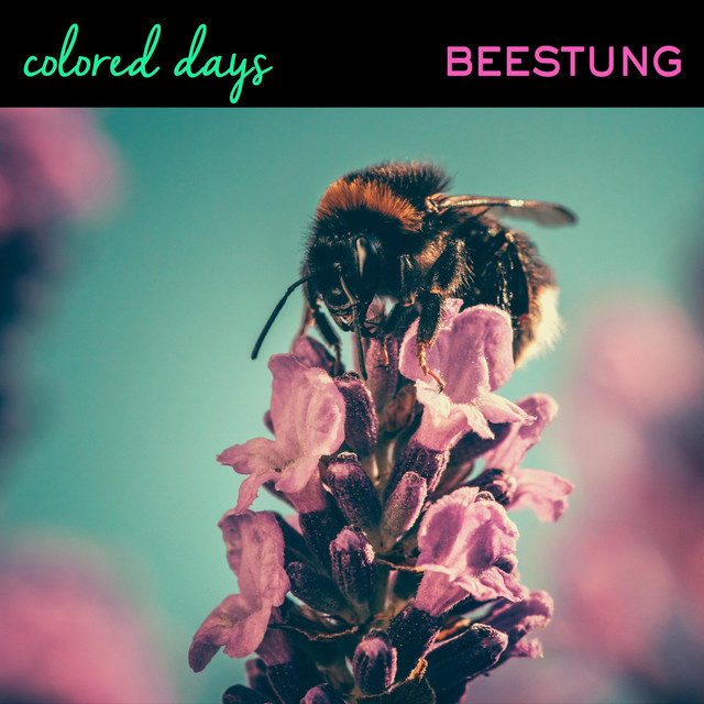 Beestung song and lyrics by Colored Days Spotify
