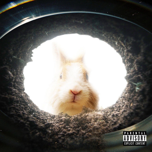 Rabbit hole Single by SvnRey Spotify