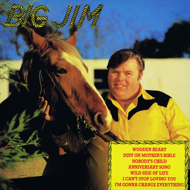 Nobody&rsquo;s Child - song by Big Jim | Spotify
