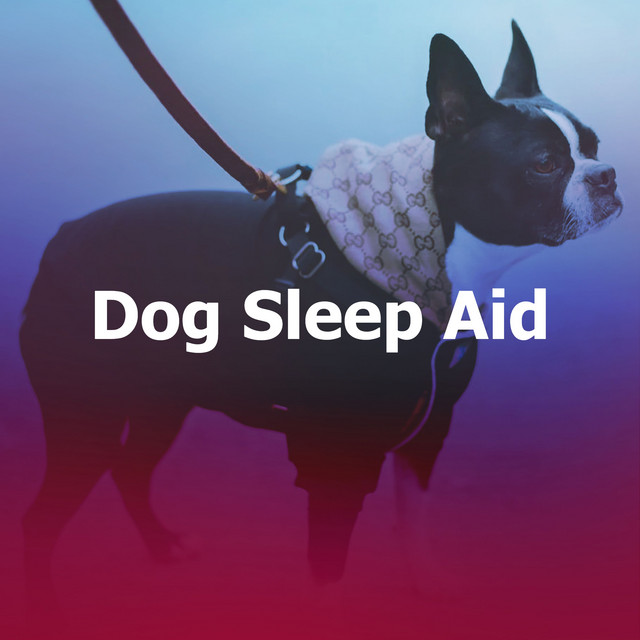 Dog Sleep Aid Album by Dog Sounds Spotify