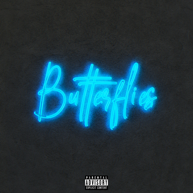 Butterflies song and lyrics by 2Scratch Spotify