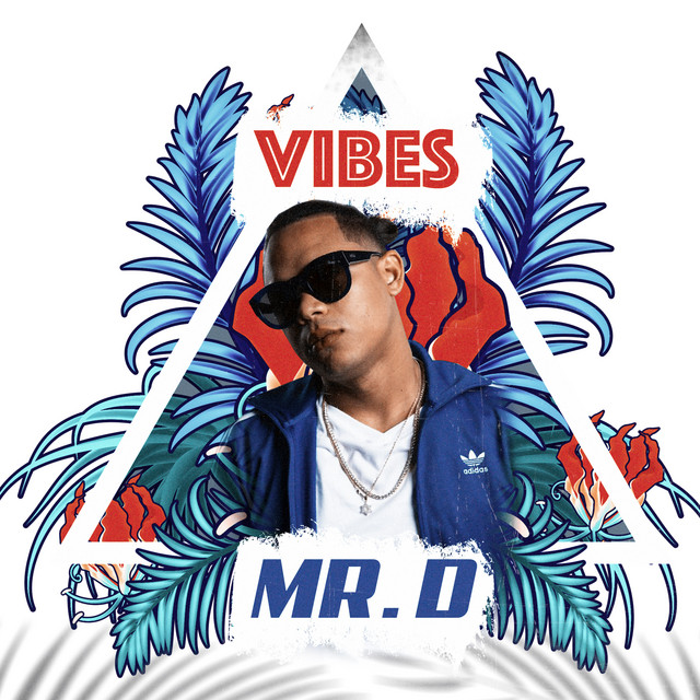 Vibes Single by Mr. D Spotify