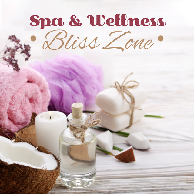 Spa & Wellness Bliss Zone New Age Nature & Ambient Music Selection for