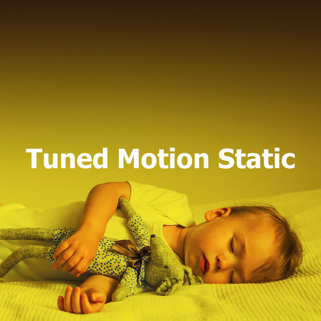 Tuned Motion Static Album by White Noise Babies Spotify