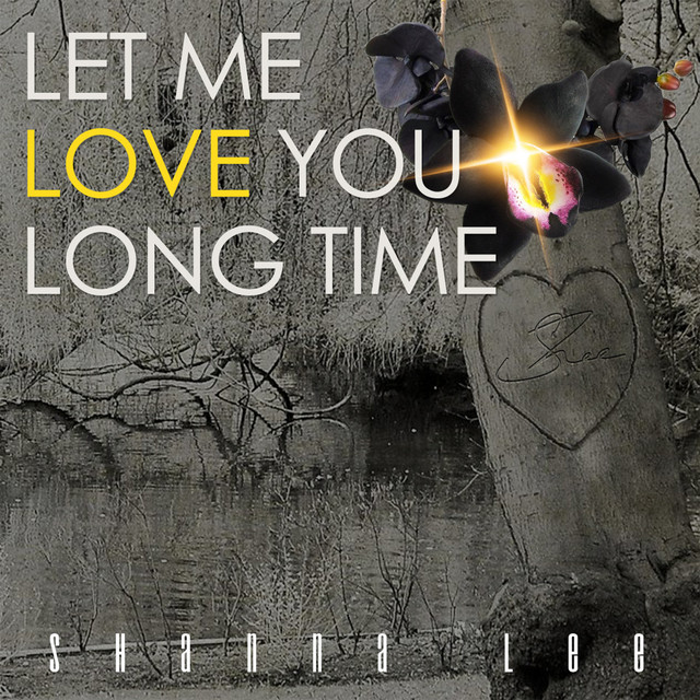 Let Me Love You Long Time Single by Shanna Lee Spotify