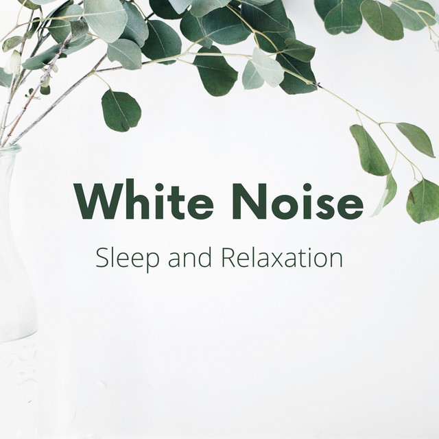 White Noise for Sleep and Relaxation Album by White Noise Playlist