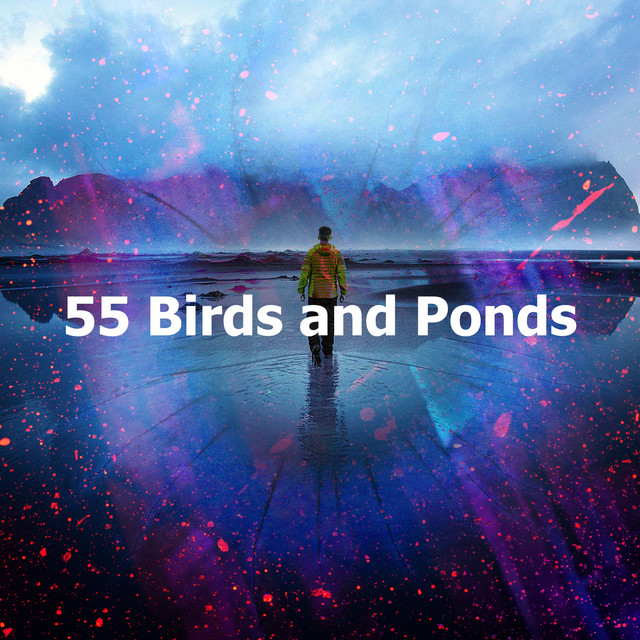 55 Birds and Ponds Album by Nature and Rain Spotify