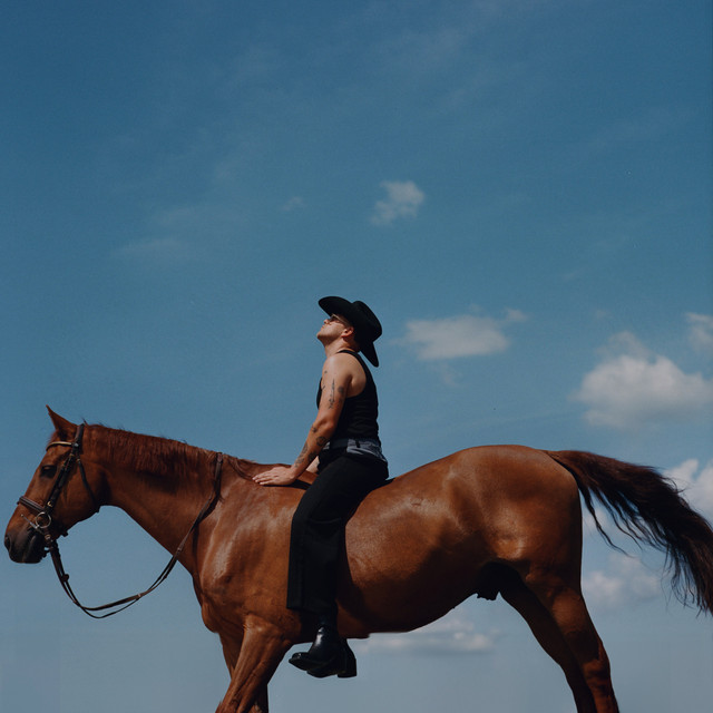 The South's Got Something To Say Album by Frankie Stew and Harvey