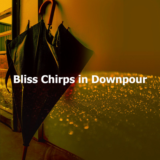 Bucket Full of Rain song and lyrics by Calming Music Academy Spotify