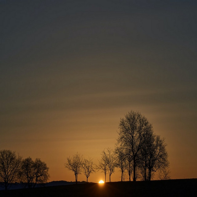 "Montgomery County Fair" (Montgomery City) Concert & Tour History Concert Archives