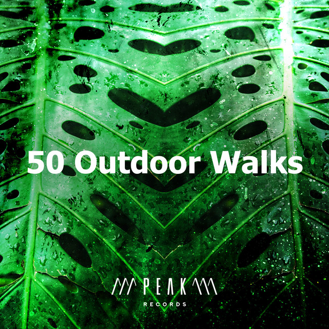 50 Outdoor Walks Album by Rainforest Sounds Spotify