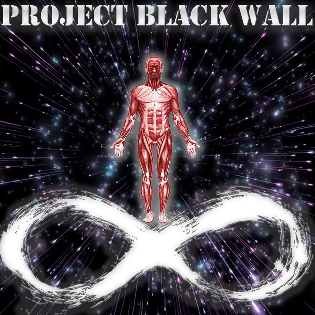Effigy song and lyrics by Project Black Wall Spotify