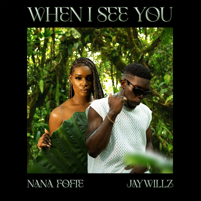 When I See You song and lyrics by Nana Fofie, Jaywillz Spotify