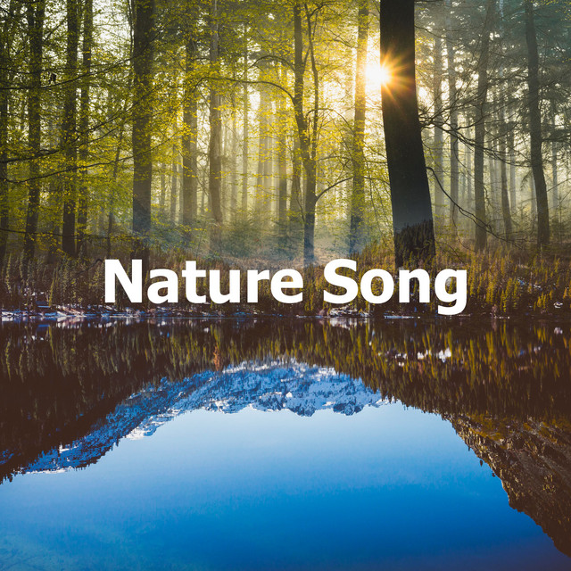 Nature Song Album by Sounds of Nature Relaxation Spotify