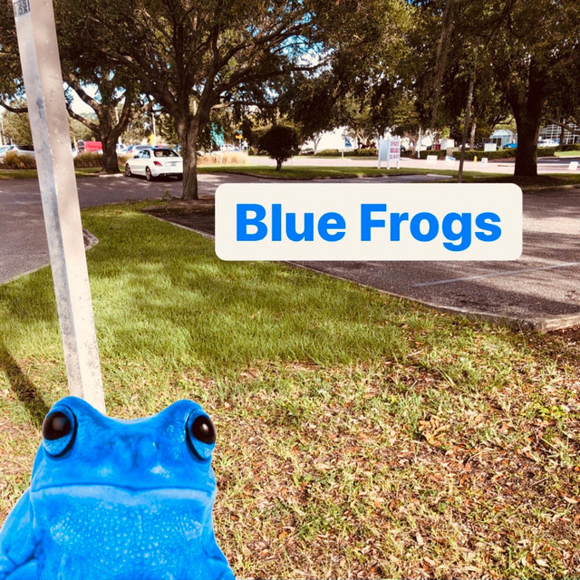 Blue Frogs Single by Trash Boy Spotify