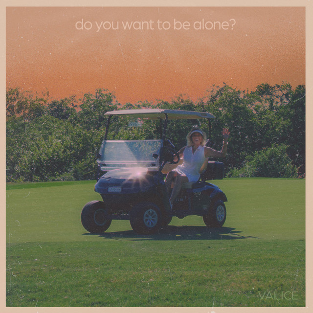 do you want to be alone? EP by Valice Spotify