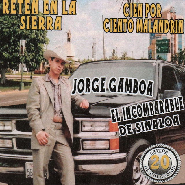 Llegaron A Las Golondrinas song and lyrics by Gamboa Spotify