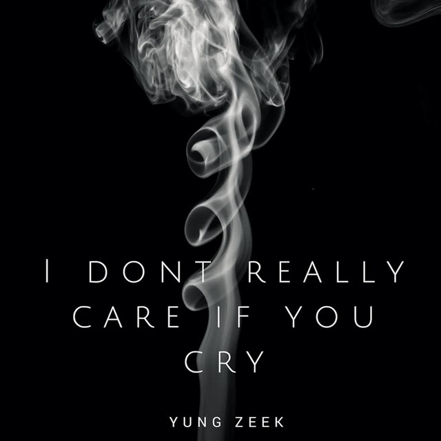 I Don't Really Care If You Cry Single by Yung Seek Spotify