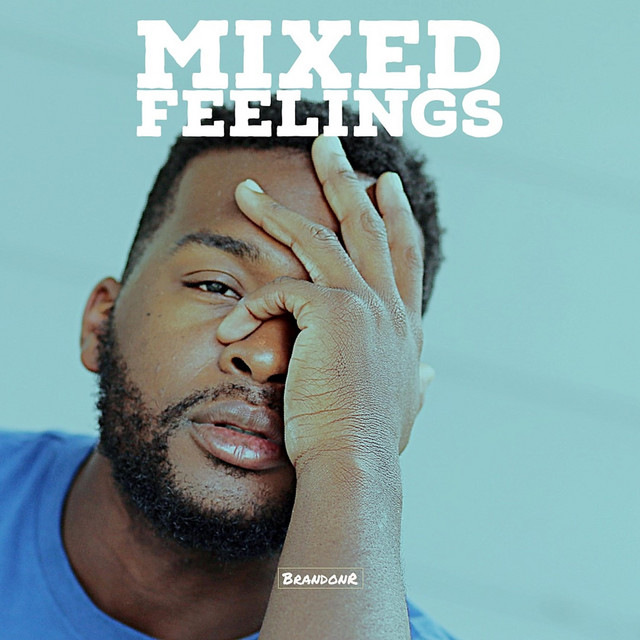 Mixed Feelings Album by BrandonR Spotify